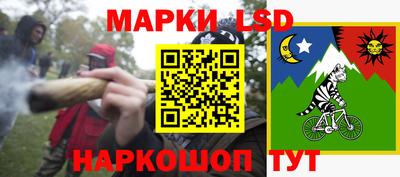 СК Гатчина