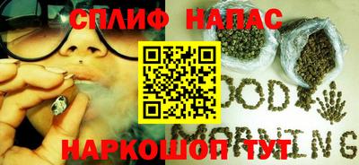 СК Гатчина