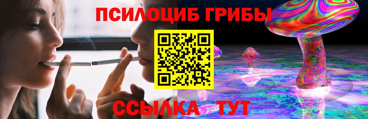 наркошоп  Псилоцибиновые грибы GOLDEN TEACHER  Вход с VPN  Рубцовск 